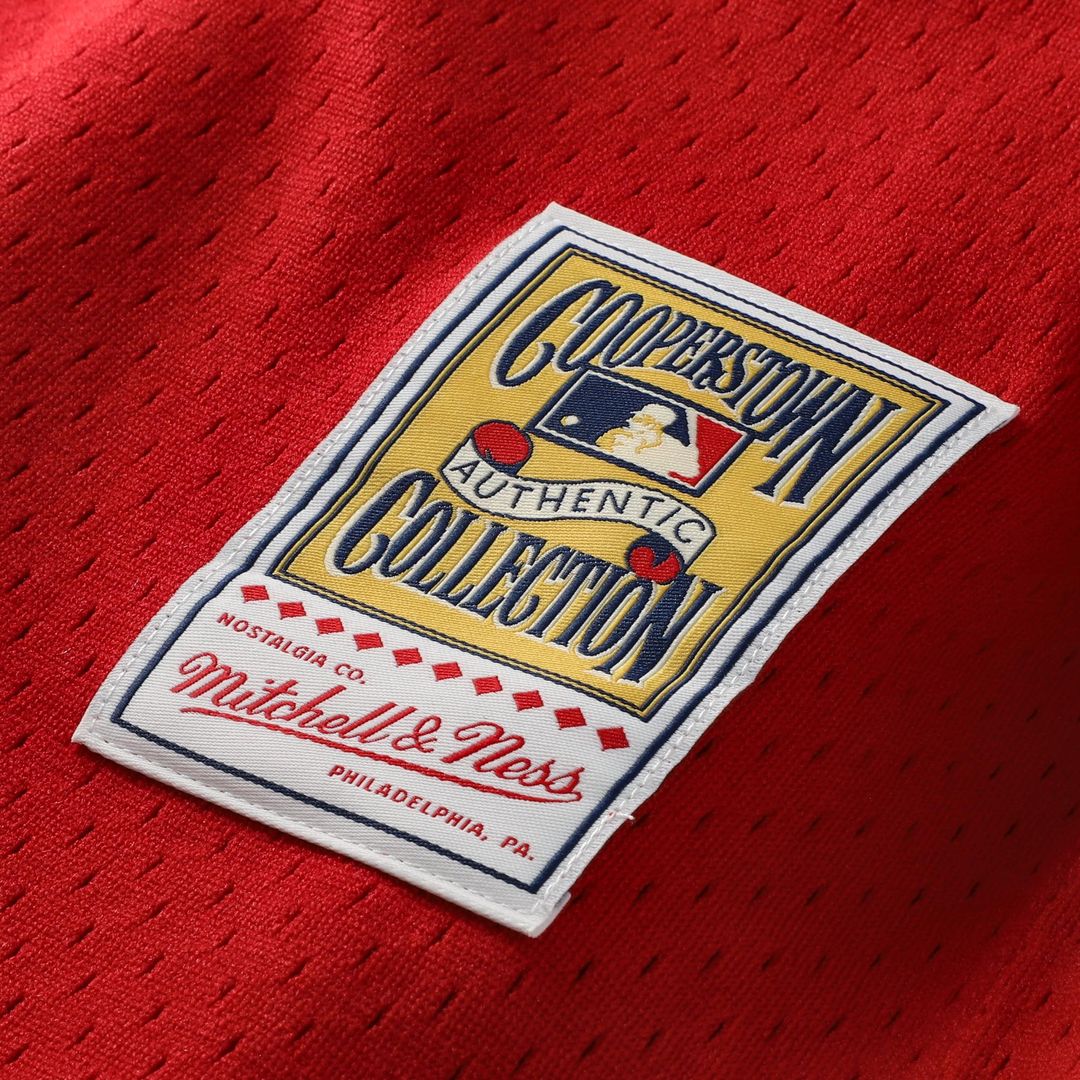 Cincinnati Reds Johnny Bench Mitchell & Ness Authentic Batting Practice Jersey - Scarlet